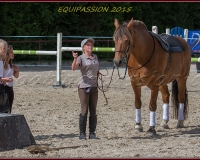 1-13JUIN 0744